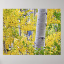 Suche nach rocky mountains poster Colorado