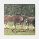 Suche nach entwurfspferd Clydesdale