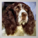 Suche nach english springer spaniel poster Niedlich