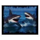 Suche nach meeressäugetiere poster Für kinder