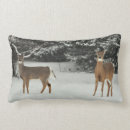 Suche nach rotwild kissen Schnee