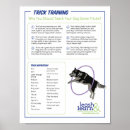 Suche nach trick poster Training