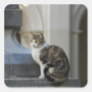 Suche nach argentina aufkleber Horizontal