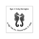 Suche nach seepferdchen Seepferde