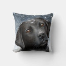 Suche nach labrador blau wohnen zuhause Winter
