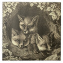 Suche nach fuchs Illustration