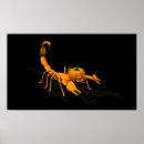 Suche nach skorpion poster Halloween