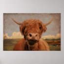 Suche nach highland cow poster Landschaft