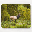 Suche nach gegner mousepads Elch