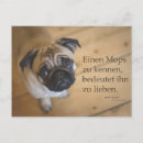 Suche nach mops postkarten Hund