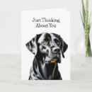 Suche nach labor karten Hundefreunde