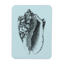 Suche nach muschel magnete Natur