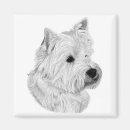 Suche nach westie magnete Terrier