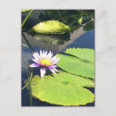 Suche nach alle lila blume postkarten Gelb