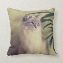 Suche nach ragdoll kissen Katze