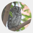 Suche nach krüge aufkleber Safari