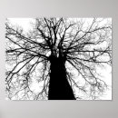 Suche nach baum silhouette poster Natur