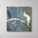 Suche nach wildlife leinwandbilder Tiere