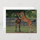 Suche nach morgan postkarten Spielen