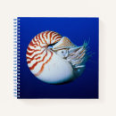 Suche nach nautilus kleine notizbücher Ozean