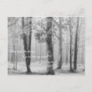 Suche nach john muir postkarten Wandern