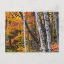 Suche nach copper postkarten Herbst