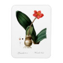 Suche nach vintage bilder magnete Blume