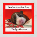 Suche nach boston terrier einladungen Babydusche