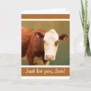 Suche nach funny cow karten Kuh