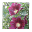 Suche nach schöne blume fliesen Blüten