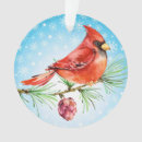 Suche nach roter kardinal ornamente Verzierung