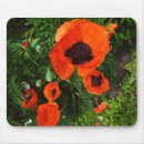 Suche nach poppies mousepads Rot