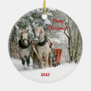 Suche nach schlitten ornamente Pferd und schlitten