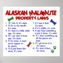 Suche nach alaskan malamute poster Niedlich