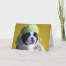 Suche nach reinrassiges tier karten Bulldogin