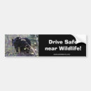 Suche nach bar autoaufkleber Wildtiere