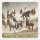 Suche nach montana aufkleber Cowboy