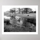 Suche nach wintermorgen Landschaft