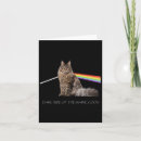 Suche nach maine coon cat karten Katzen