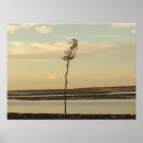 Suche nach solo poster Natur