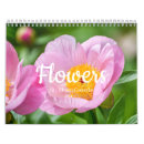 Suche nach rosa blumen kalender Wildblumen