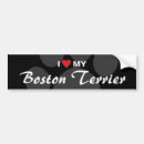 Suche nach boston autoaufkleber Hund