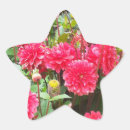 Suche nach rosa dahlie aufkleber Blüten