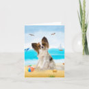 Suche nach papillon hund karten Haustier