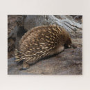 Suche nach furry puzzle Tier