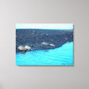 Suche nach hawaii schildkröten poster Souvenir