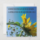 Suche nach folded poster Sonne