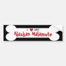 Suche nach alaskischer malamute Zucht