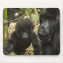 Suche nach berggorilla mousepads Afrika
