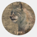 Suche nach luchs aufkleber Lynx